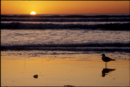 San Diego