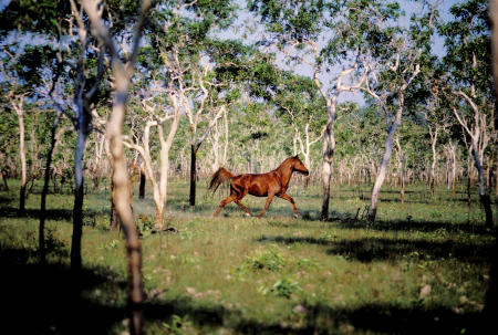 Kakadu National Park Australia