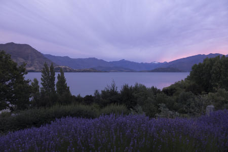 Lake Wanaka NZ